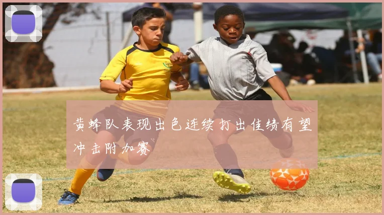 黄蜂队表现出色连续打出佳绩有望冲击附加赛
